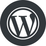 Wordpress Development Company